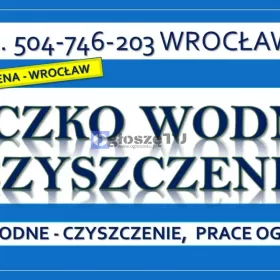 Czyszczenie oczek wodnych, Wrocław
