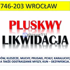 Usunięcie pluskiew z mieszkania, tel. 504-746-203