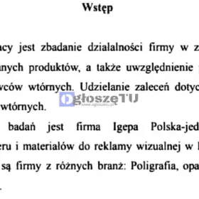 Zbadanie działalności i produkcji w firmie