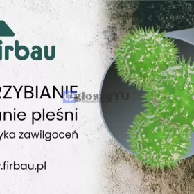 odgrzybianie usuwanie pleśni firbau