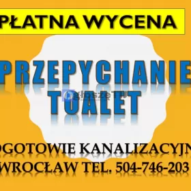 Ile kosztuje przepychanie toalety ? 504-746-203