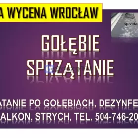 Ile kosztuje sprzątanie po gołębiach 