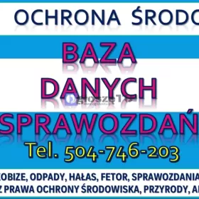 Sprawozdanie do Bazy Danych Sprawozdań, SZWO