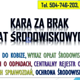 Jaka kara za brak opłat środowiskowych