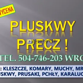 Dezynfekcja na pluskwy, cennik, tel. 504-746-203, 