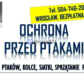 Odstraszanie gołębi, Wrocław, tel. 504-746-203