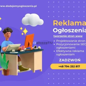 Tworzenie Stron WWW - SEO Ogłoszenia 