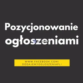 Linki z ogłoszeń SEO  