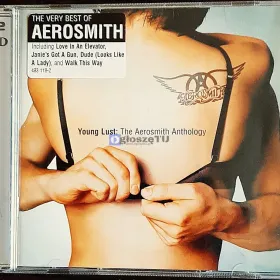 Polecam Album 2XCD AEROSMITH Young Lust Anthology