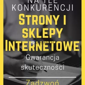 Profesjonalne tworzenie stron internetowych. 